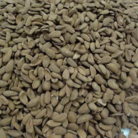 Premium-Mamra-Almonds-270x270