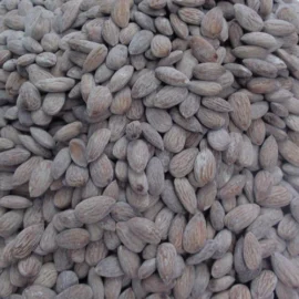 Premium-Roasted-Almonds-1-270x270